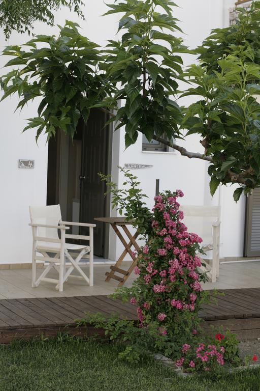 Asterias Apartment Skyros